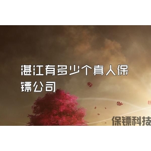 湛江有多少个真人保镖公司
