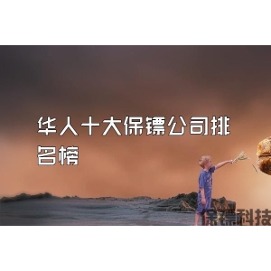 华人十大保镖公司排名榜