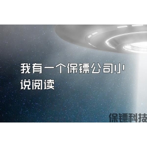 我有一个保镖公司小说阅读