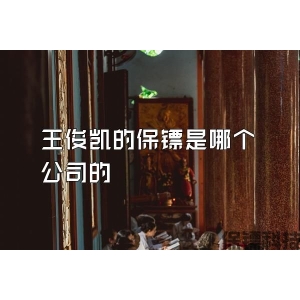 王俊凯的保镖是哪个公司的