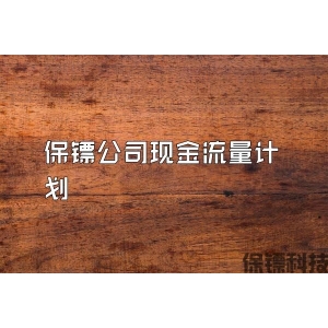 保镖公司现金流量计划