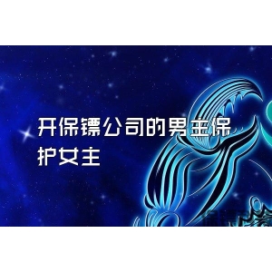 开保镖公司的男主保护女主