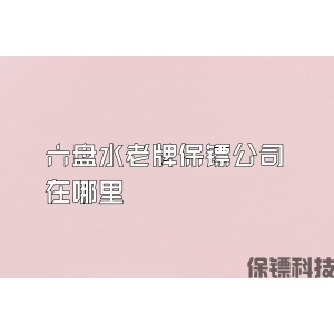 六盘水老牌保镖公司在哪里