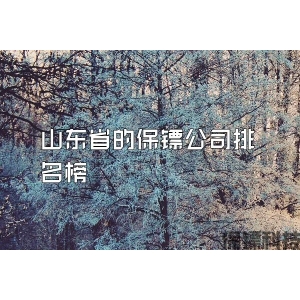 山东省的保镖公司排名榜