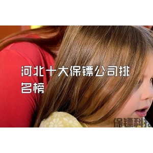 河北十大保镖公司排名榜