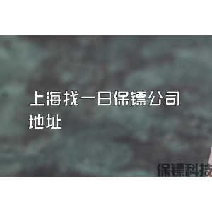 上海找一日保镖公司地址