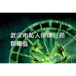 武汉市私人保镖公司有哪些