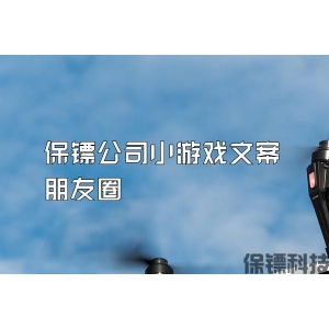 保镖公司小游戏文案朋友圈
