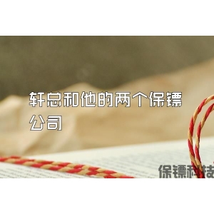轩总和他的两个保镖公司