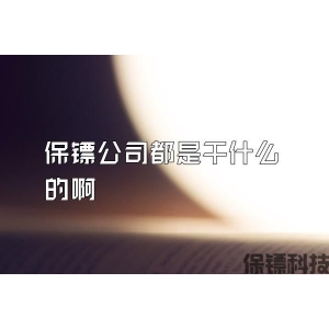 保镖公司都是干什么的啊