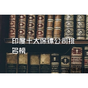 印度十大保镖公司排名榜