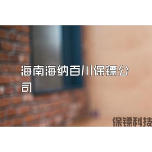 海南海纳百川保镖公司