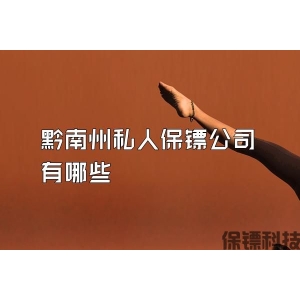 黔南州私人保镖公司有哪些