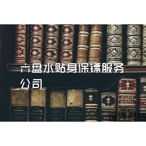 六盘水贴身保镖服务公司