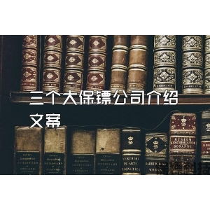 三个大保镖公司介绍文案