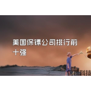美国保镖公司排行前十强