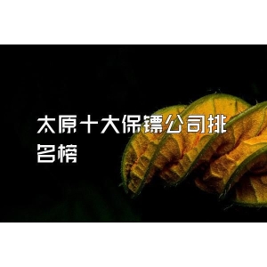 太原十大保镖公司排名榜