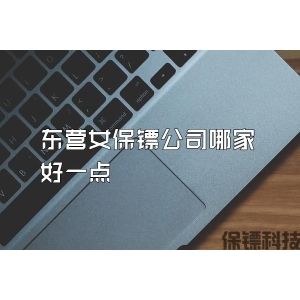东营女保镖公司哪家好一点