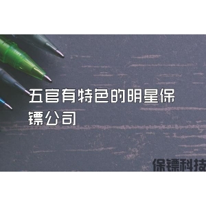 五官有特色的明星保镖公司