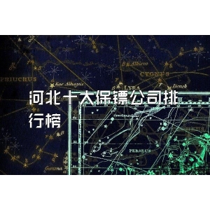 河北十大保镖公司排行榜