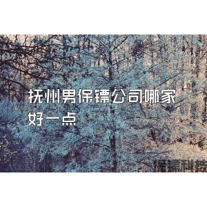 抚州男保镖公司哪家好一点
