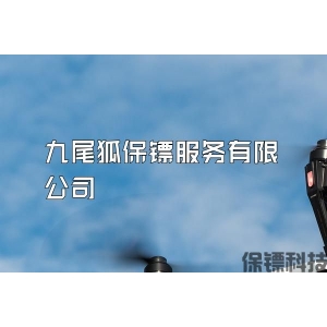 九尾狐保镖服务有限公司
