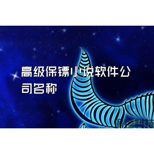 高级保镖小说软件公司名称