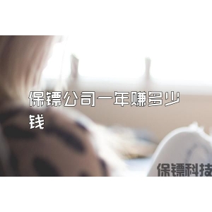 保镖公司一年赚多少钱