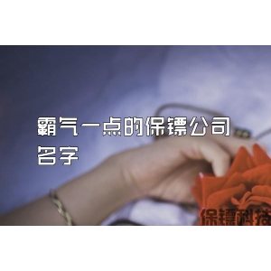 霸气一点的保镖公司名字