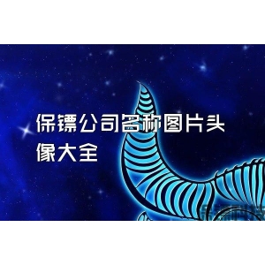 保镖公司名称图片头像大全
