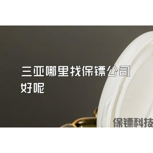 三亚哪里找保镖公司好呢