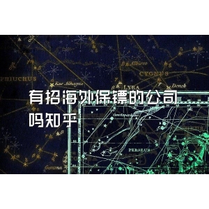有招海外保镖的公司吗知乎
