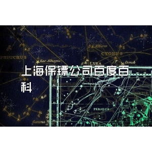 上海保镖公司百度百科