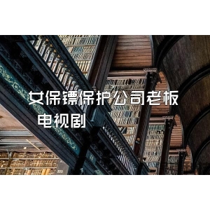 女保镖保护公司老板 电视剧