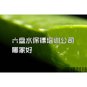 六盘水保镖培训公司哪家好