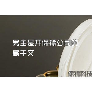 男主是开保镖公司的高干文