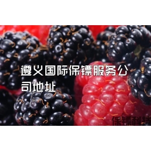 遵义国际保镖服务公司地址
