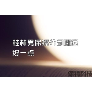 桂林男保镖公司哪家好一点