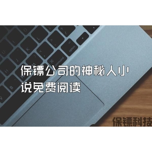 保镖公司的神秘人小说免费阅读