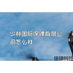少林国际保镖有限公司怎么样