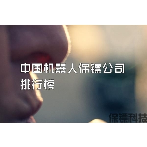 中国机器人保镖公司排行榜