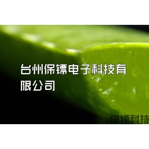 台州保镖电子科技有限公司