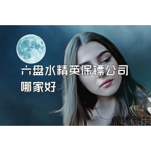 六盘水精英保镖公司哪家好