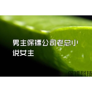 男主保镖公司老总小说女主