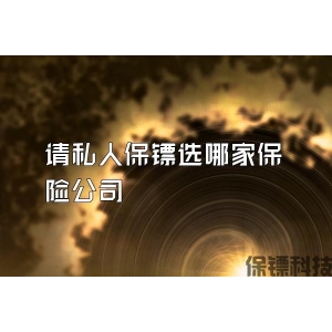 请私人保镖选哪家保险公司