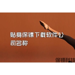 贴身保镖下载软件公司名称