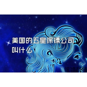 美国的五星保镖公司叫什么