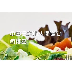 中国三大私人保镖公司排名