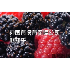 外国有没有保镖公司啊知乎