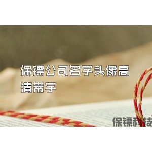 保镖公司名字头像高清带字